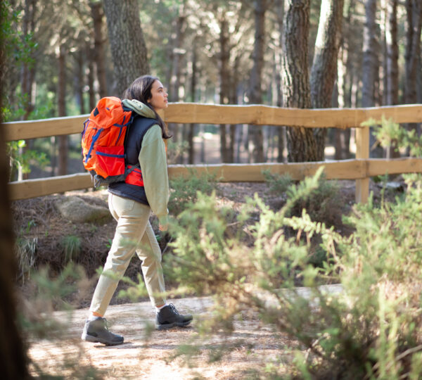 This peaceful walking track begins at the beach end of Manuka Street in Sandy Point and winds through coastal vegetation toward Shallow Inlet.