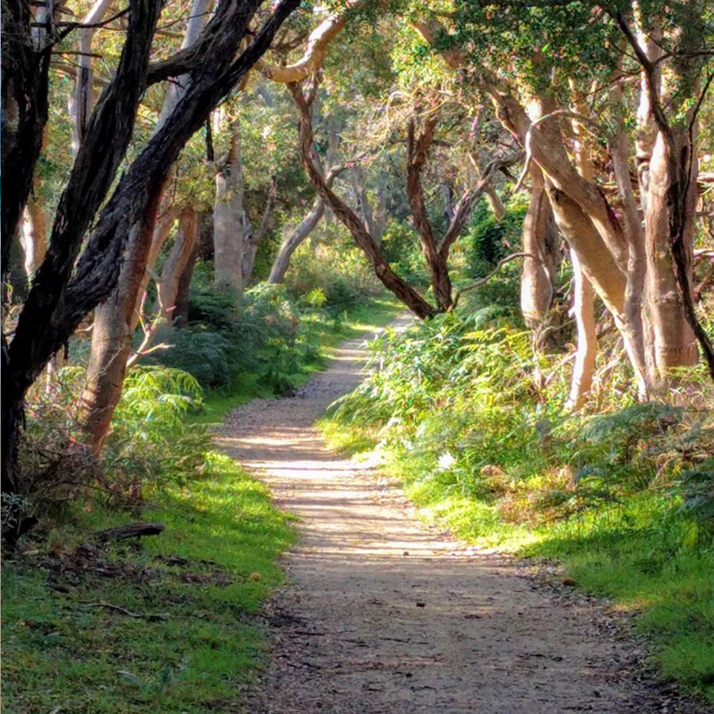 Sandy Point & Waratah Bay