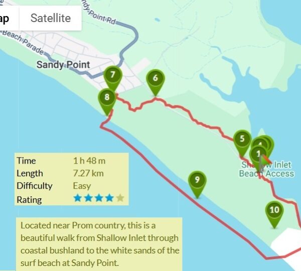 This peaceful walking track begins at the beach end of Manuka Street in Sandy Point and winds through coastal vegetation toward Shallow Inlet.