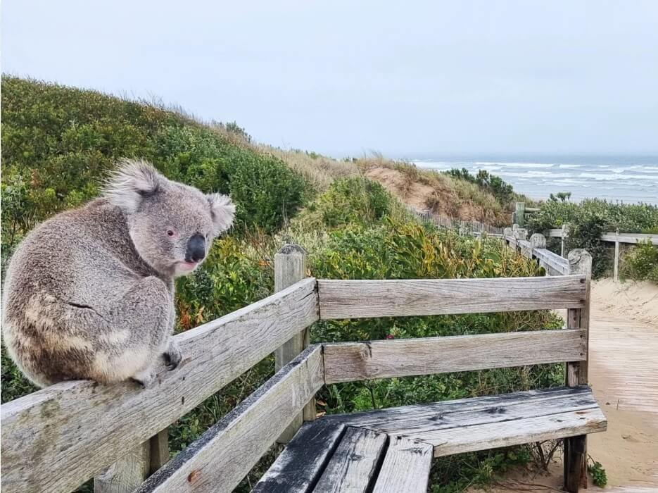 PROM COAST RESIDENCE